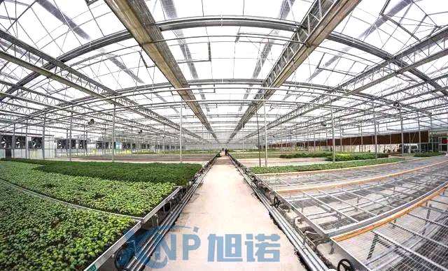 蔬菜溫室大棚可以使用榴莲APP官网下载1.0.3做骨架嗎.jpg